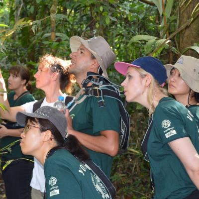 Volunteers on a bird watching expedition as part of their Conservation Project in Peru Projects Abroad volunteers bird watching on their Spring Break Conservation Project in Peru